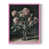 Rose n'est pas disponible