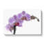 Purple Orchids In Bloom - Wrapped Canvas Painting-55322584