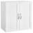Nevaeah 23.5″ L × 12.5″ W × 23.5″ H Wall Mount Cabinet Storage Organizer with Adjustable Shelf