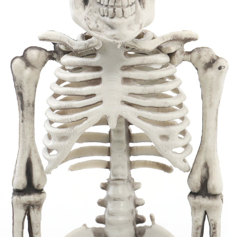 Lampkins Halloween Decorative Accent