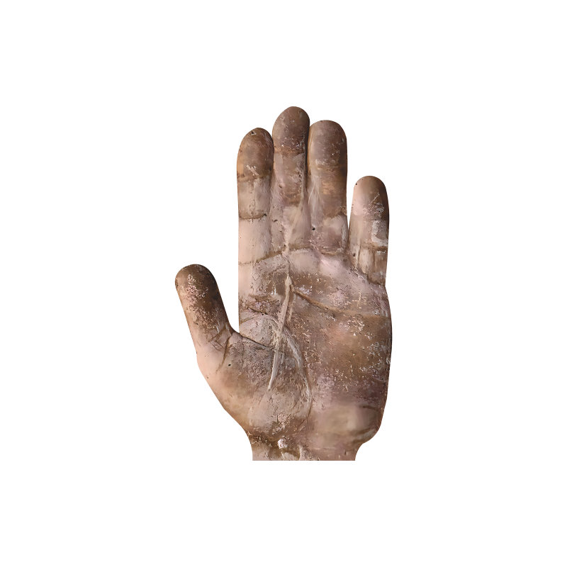 H13650