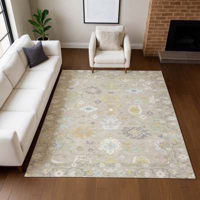 Machine Washable Indoor/Outdoor Chantille ACN2675 Global Rug