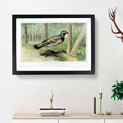 Spruce Grouse by J.L. Ridgway - Picture Frame Painting Print