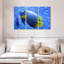 Angelfish bleu corail Brampt-108089549