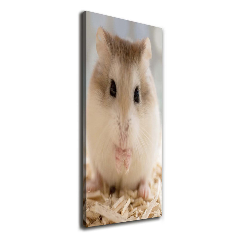Hamster - Wrapped Canvas Print