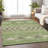 Premium Machine Washable Prisco Green Rug-1750700612