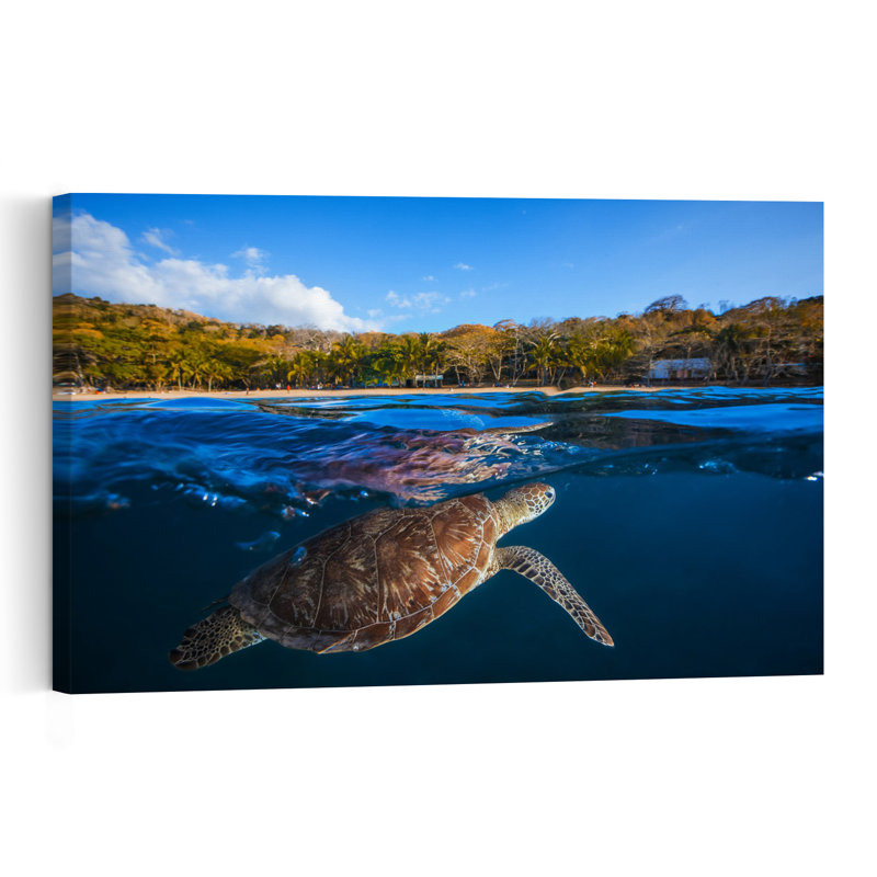 Sea Turtle Tropical Beach Peaceful Serene Vibrant Palm Tree Turtle Beach Nature Wall Art Print 1 Piece Wrapped Canvas Wall Art
