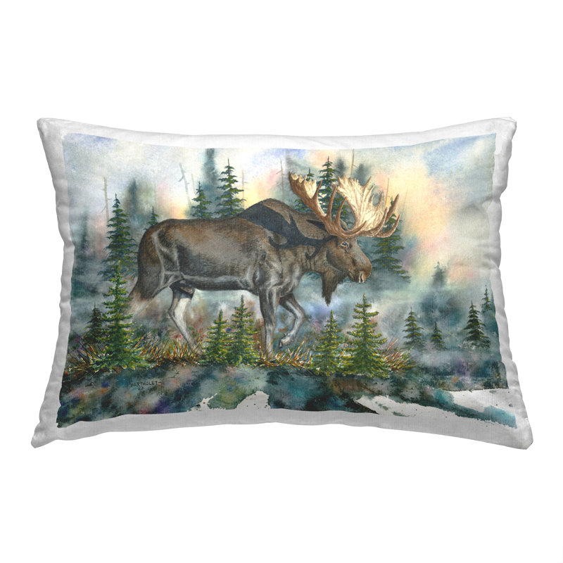  Throw Pillow