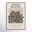 Papiers Decoupes Set by Romina Gadler-1326858646-1326858636
