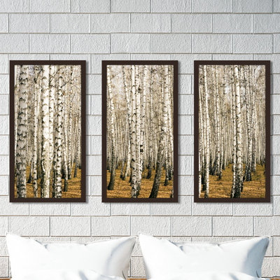 Birch Trees 3 - 3 Piece Picture Frame Photograph Print Set on Acrylic -  Picture Perfect International, 704-2281-1224