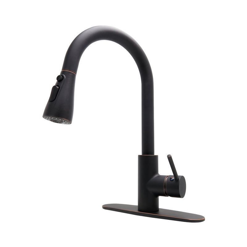 Robinet de cuisine à poignée simple avec plaque de pont JS, Noir
