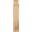 Sapin Douglas, l 6 po x P 26 po x H 30 po-31644831-31652426