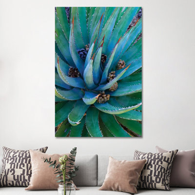 Agave Plants With Pine Cones, North America by Tim Fitzharris - Wrapped Canvas Print