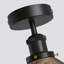 Langleyville Flush Mount-1480438945