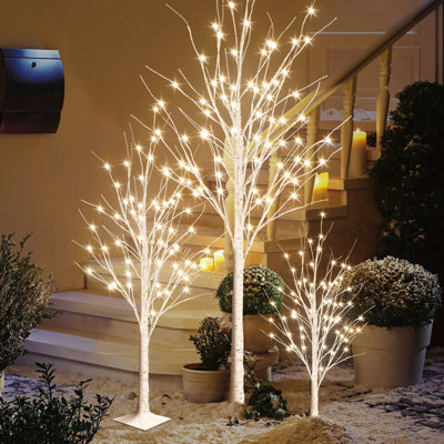 Arbres illuminés