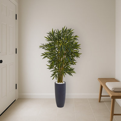 Bamboo Tree in Gray Cylinder Planter
