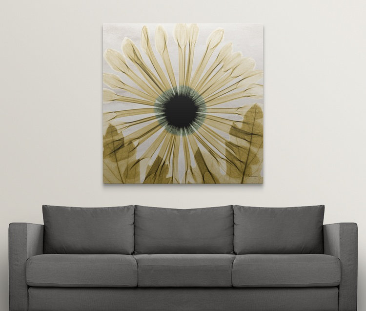 « chrysanthemum ii x-ray » par albert koetsier,, reproduction de photo, H 35 po x l 35 po x P 1,5 po, Toile
