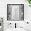 Bathroom Cabinet-398264036