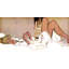 " Organization Wife " by Coby Whitmore Painting Print-15157719
