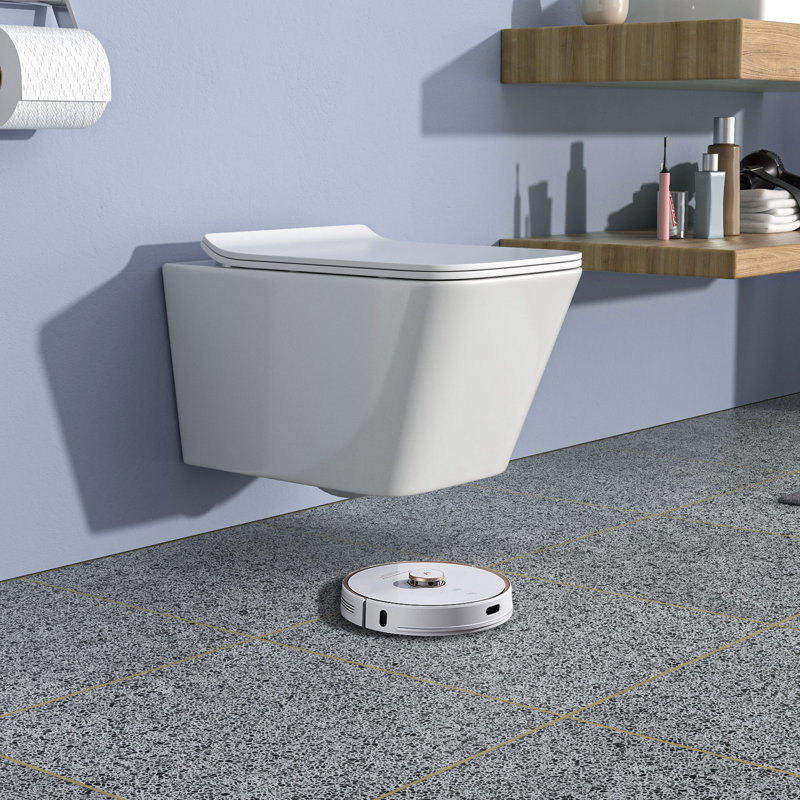 Toilette murale une pièce Rainlex RX-T41W