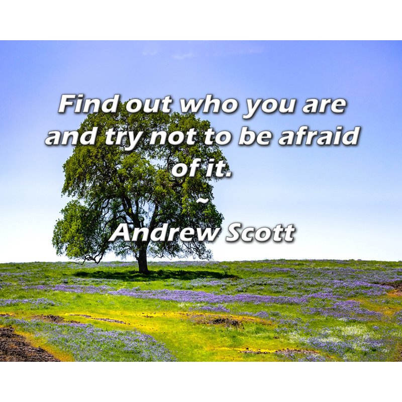 Fleur De Lis Living Gallery Wrapped Canvas By Andrew Scott: "Find out who you are and try not to be afraid