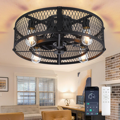 20 Inch Farmhouse Caged Ceiling Fan with Light, Remote & APP Control Quiet DC Motor Black