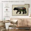 L'ours noir nord-américain-307570986-307570984