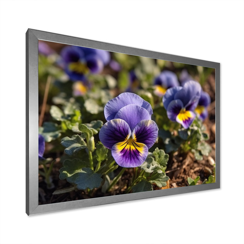 «Purple Yellow Pansies Harmony I» sur toile, Cadre simple argenté, H 34 po x l 44 po x P 1,5 po