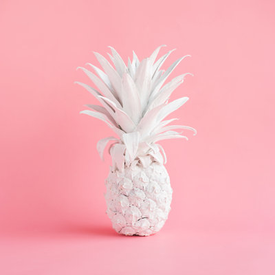White Pineapple - Wrapped Canvas Print