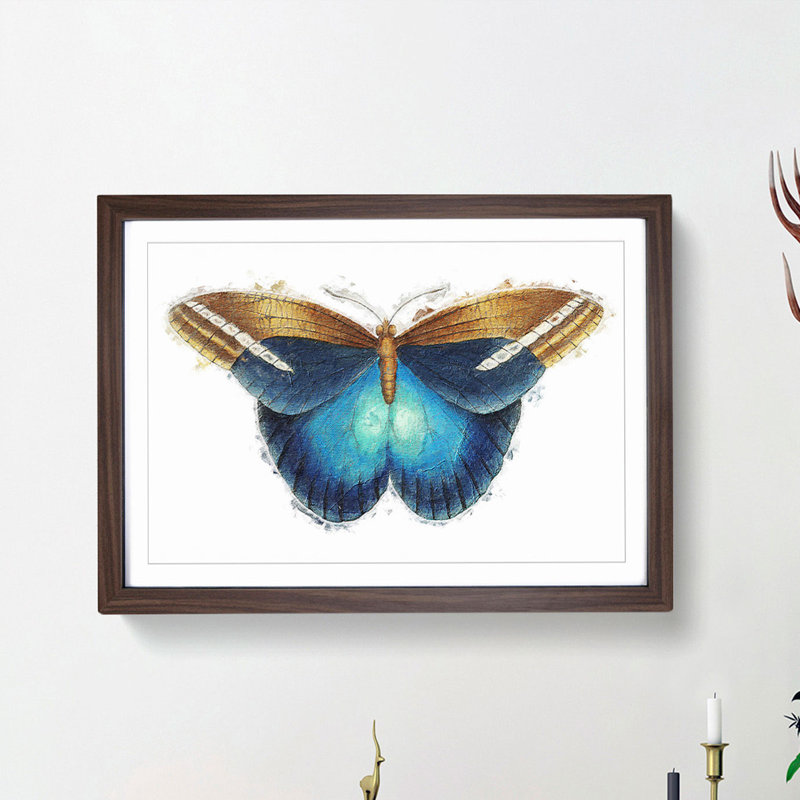 Idomeneus Butterfly by George Shaw - Framed Print, 27cm H x 36cm W x 2cm D, Walnut Framed