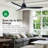 Whitehaven 56" Smart WiFi Indoor/Outdoor DC Ceiling Fan with Remote, Damp Rated, Black Modern Ceiling Fan-67499160-69556331