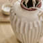 Ceramic Pot Planter