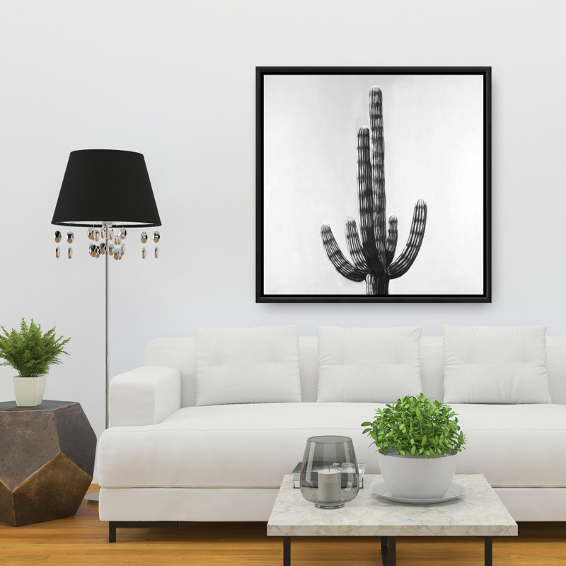 " Cactus "