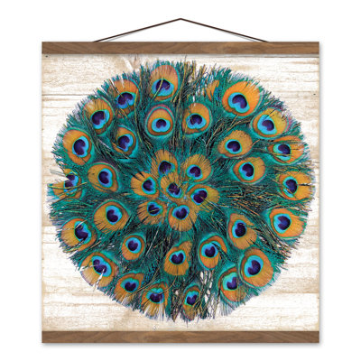 " Peacock Circle "