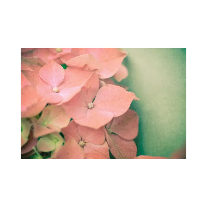 Pink Hydrangea by Olivia Joy StClaire - Wrapped Canvas Gallery-Wrapped Canvas Giclée, 66.04 cm H x 45.72 cm W x 1.91 cm D