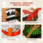 Christmas Decoration
