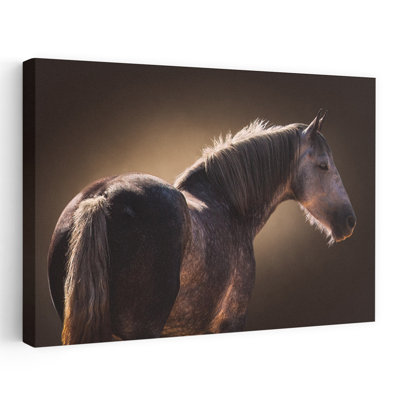 «Elegant Gray Horse», art mural contemporain contemporain