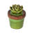Landscape & Nature Figurines & Sculptures-338451219