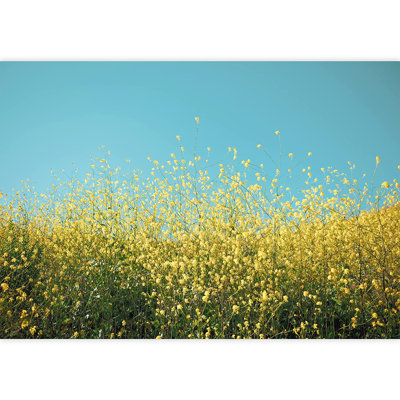 Peel & Stick Floral Border