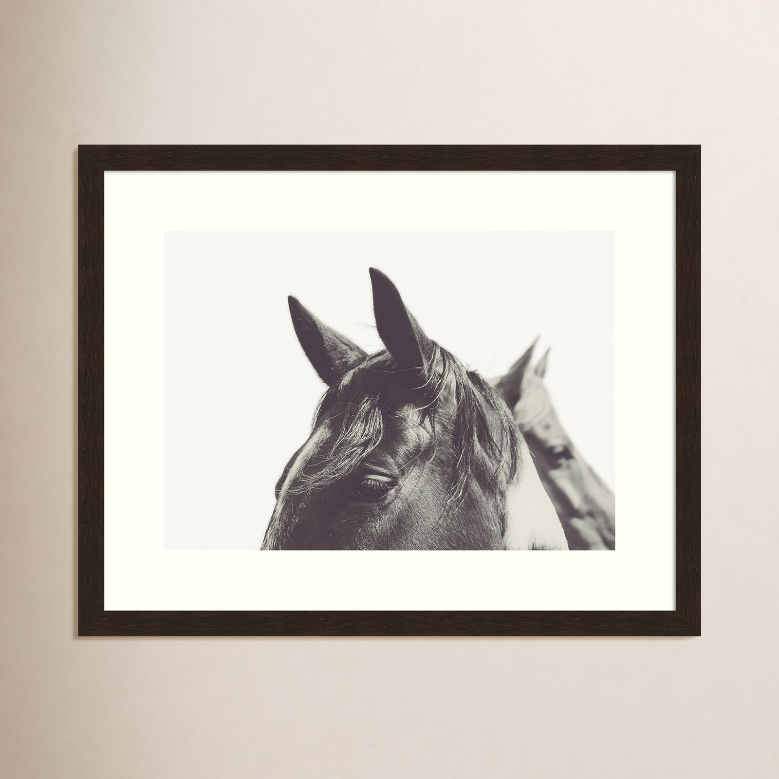 Horse Ears Macro Photo Print, 29" H x 41" W x 1.5" D, Black Framed Paper