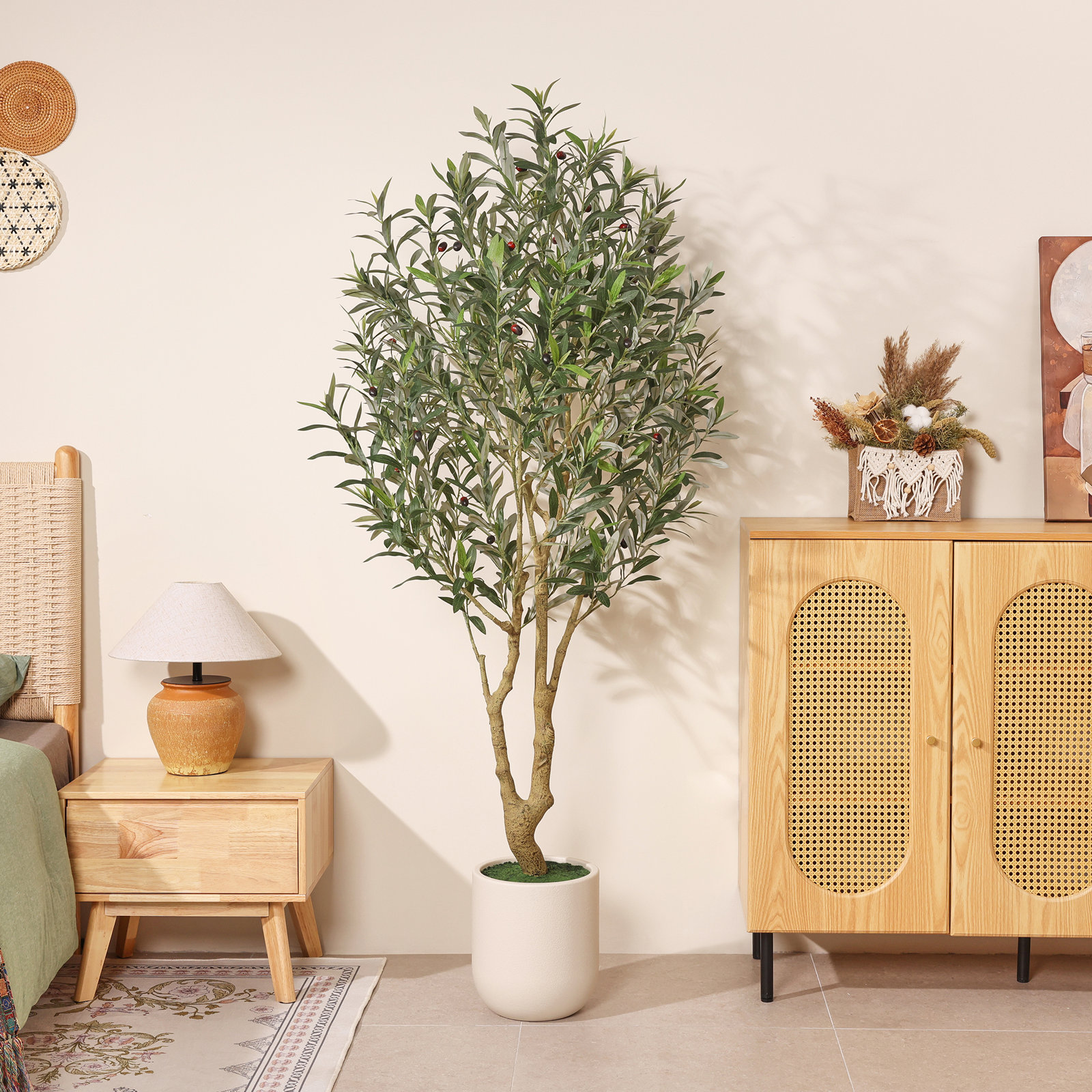 Ashwell Olive Tree in Pot, 72" x 11"