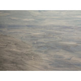 Fog Print by Alicia Lopez