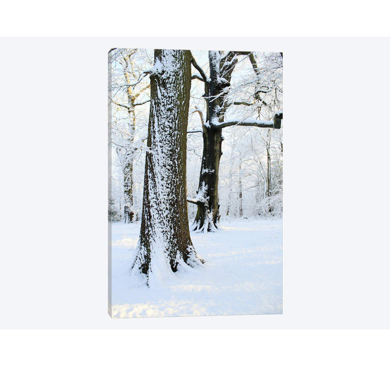 Deux arbres couverts de neige sont imprimés sur toile, H 40 po x l 26 po x P 1,5 po, Toile tendue, Pas de tapis