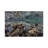 Fragile Corals Grow in Shallow Water in Komodo National Park I by Ethan Daniels - Wrapped Canvas Photograph-943130234