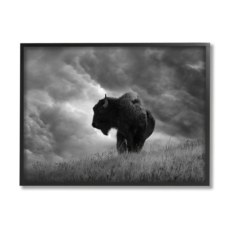 «Ox in Cloudy Landscape» encadré sur bois par Steve Toole, H 24 po x l 30 po x P 1,5 po, Giclée encadrée noir minuit