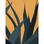Warm Desert Foliage Print by Other Artist-370136854-370136833-370136857