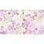 Doux pivoine rose sur fond crème-451867239