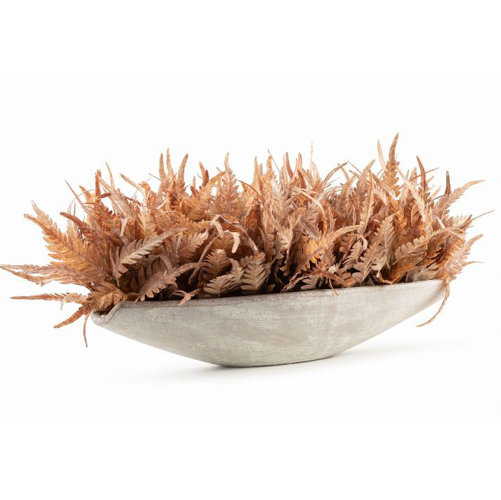 Maple Leaf Callisia, 12" H x 24" W x 7" D