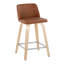 Contemporary Counter Stool