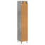 Storage Cabinet-1224733917